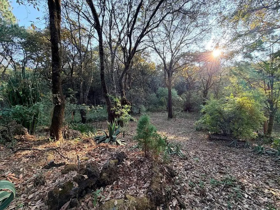 Terreno Spot2