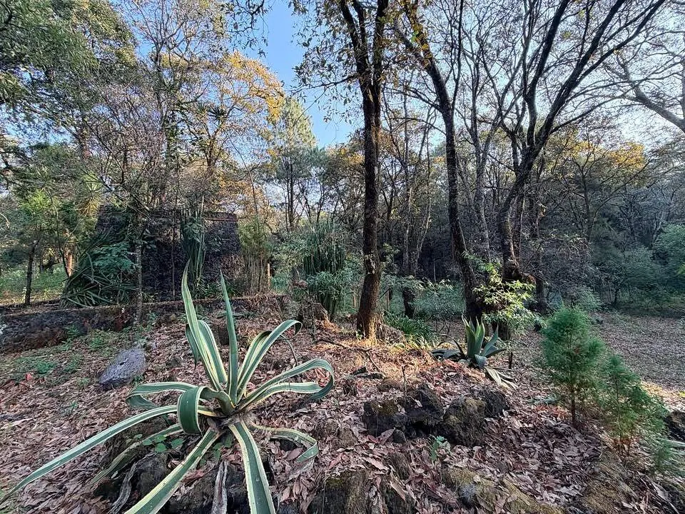 Terreno Spot2