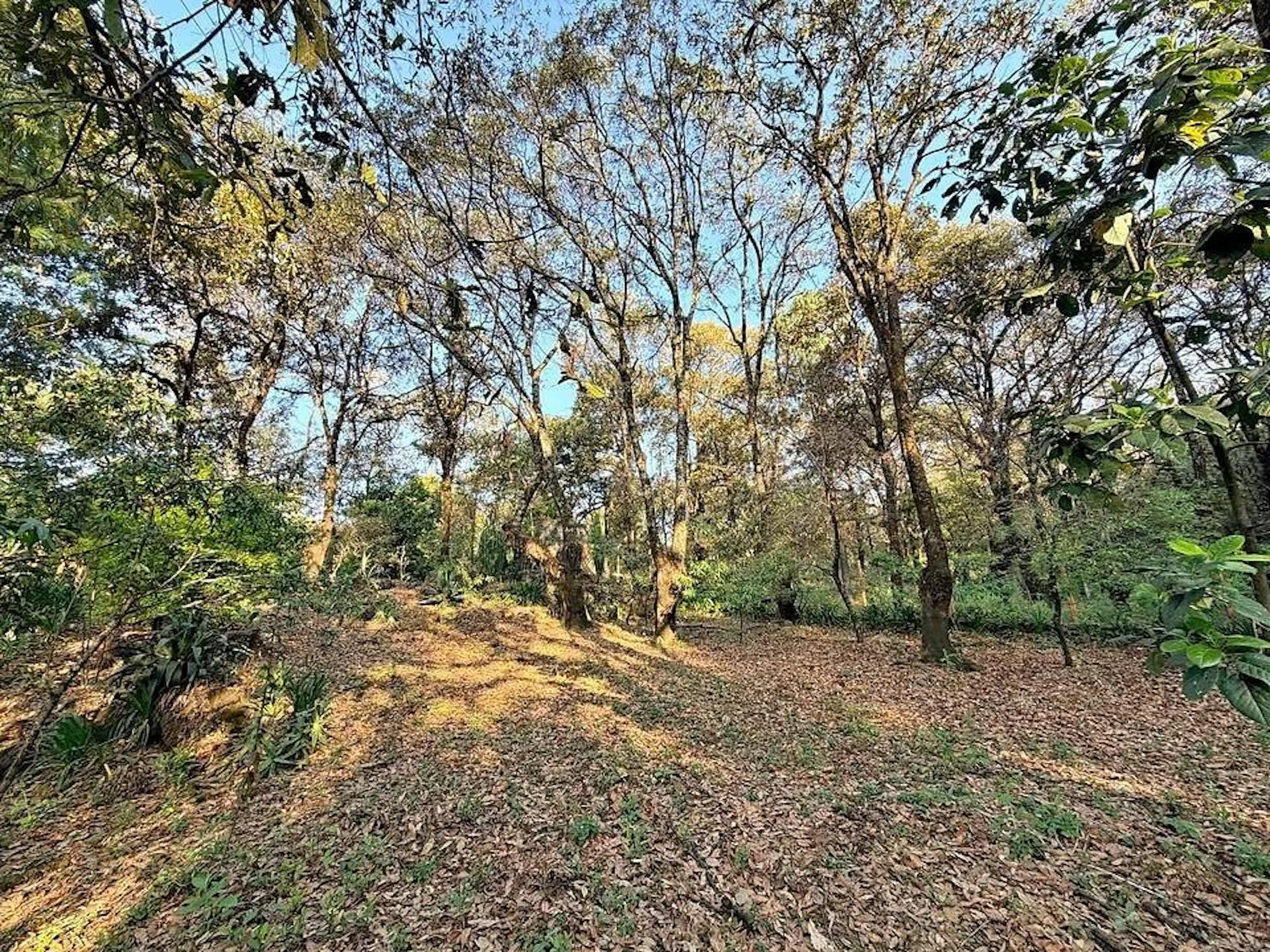 Terreno semi-plano en Tepoztlan.