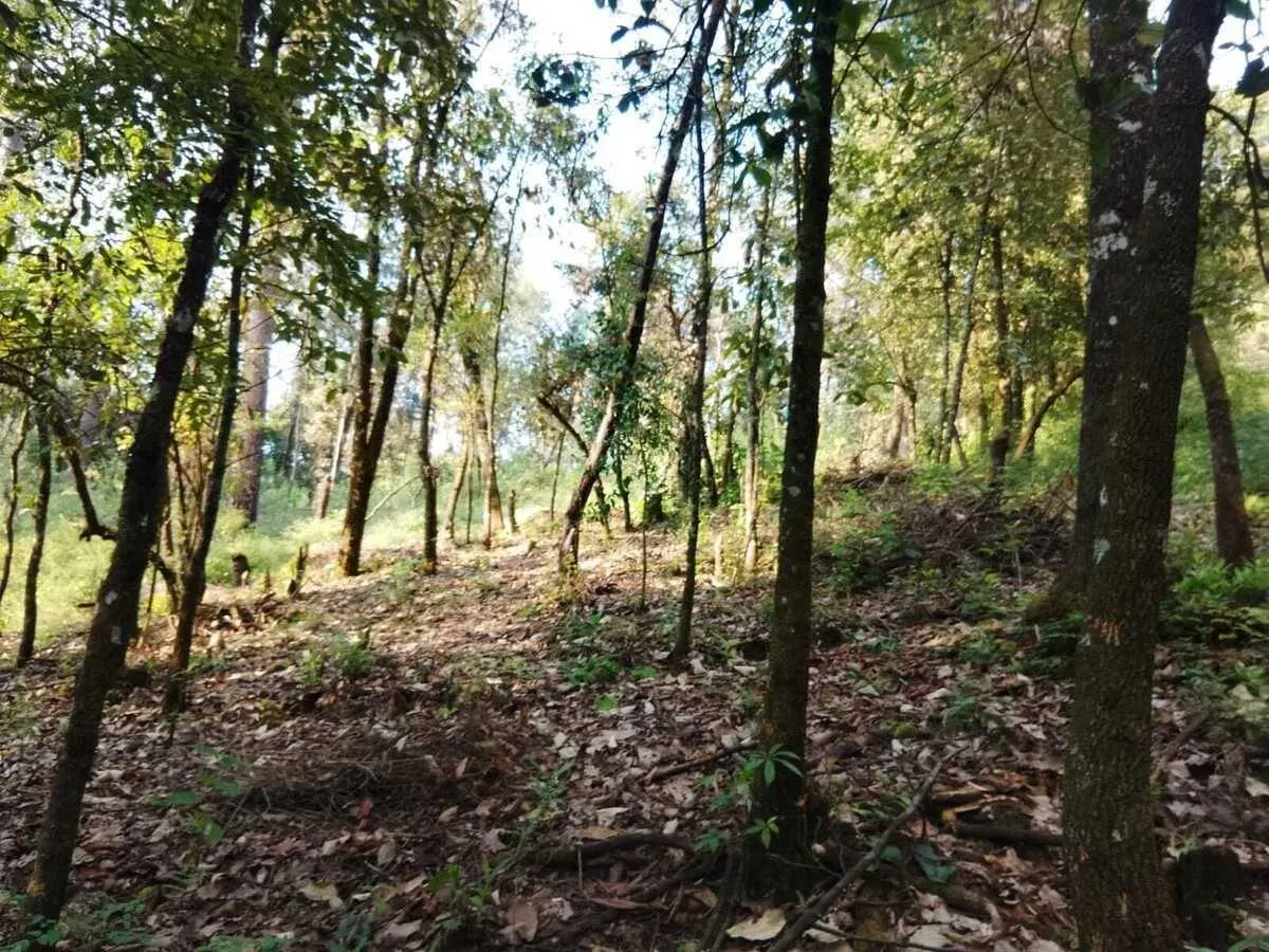 Terreno Spot2