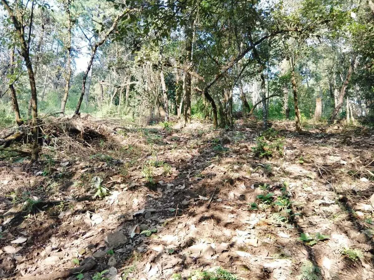 Terreno Spot2