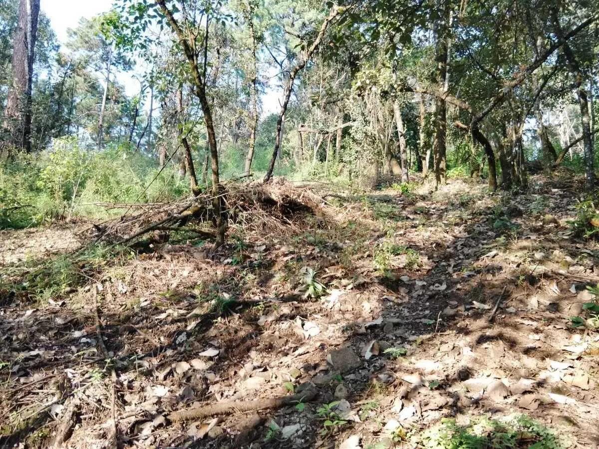 Terreno Spot2