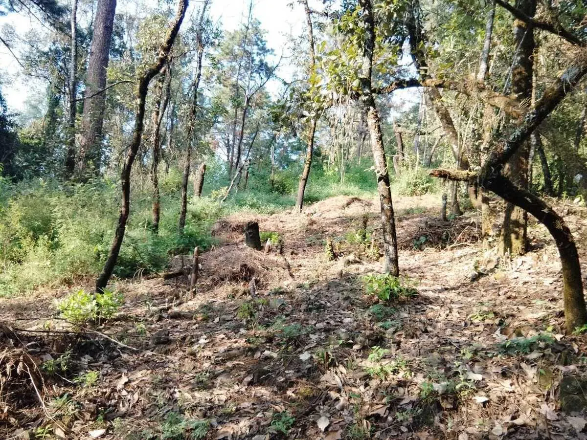 Terreno Spot2