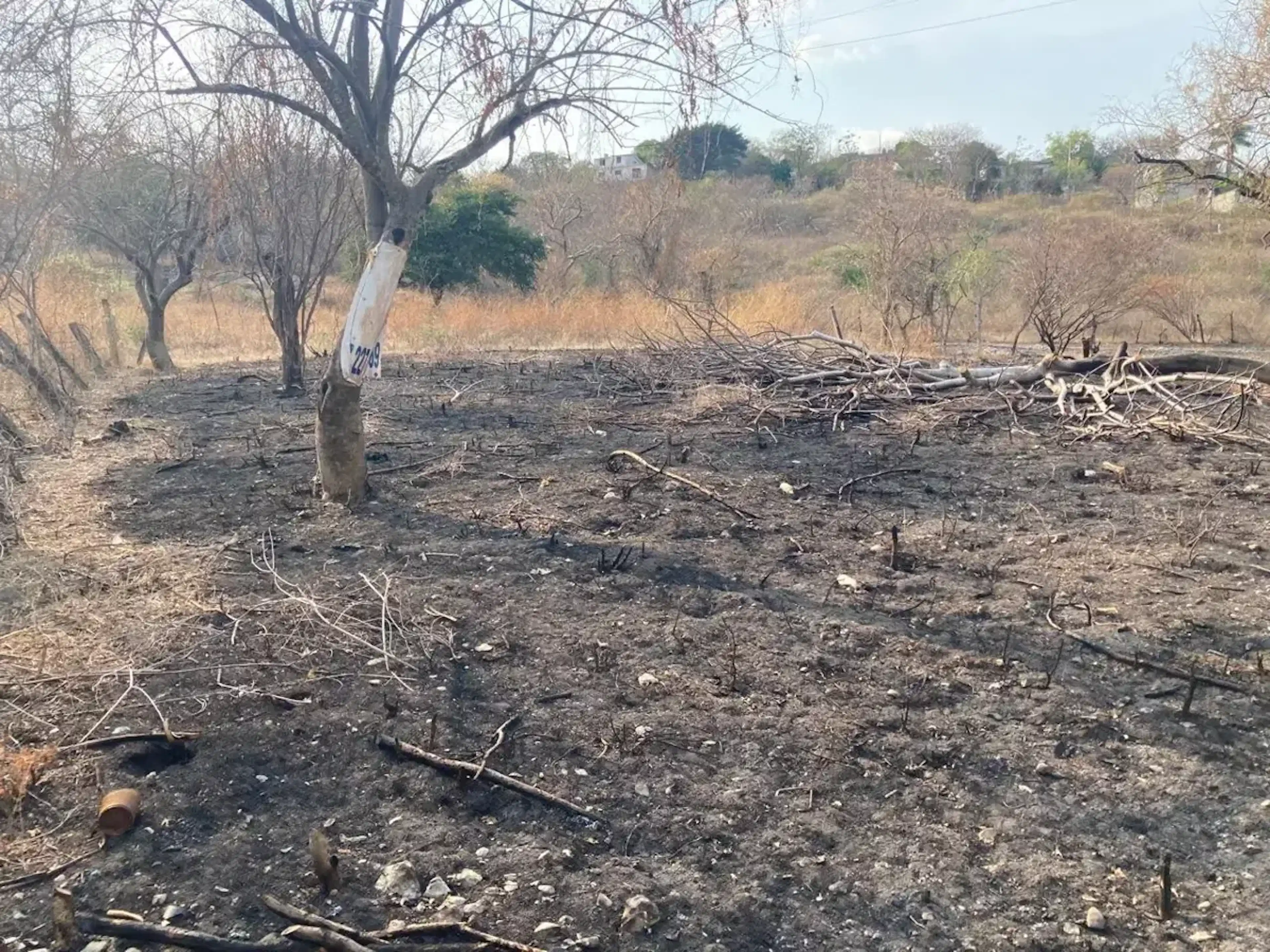 Terreno En Venta En San Juanito, Yautepec, Morelos