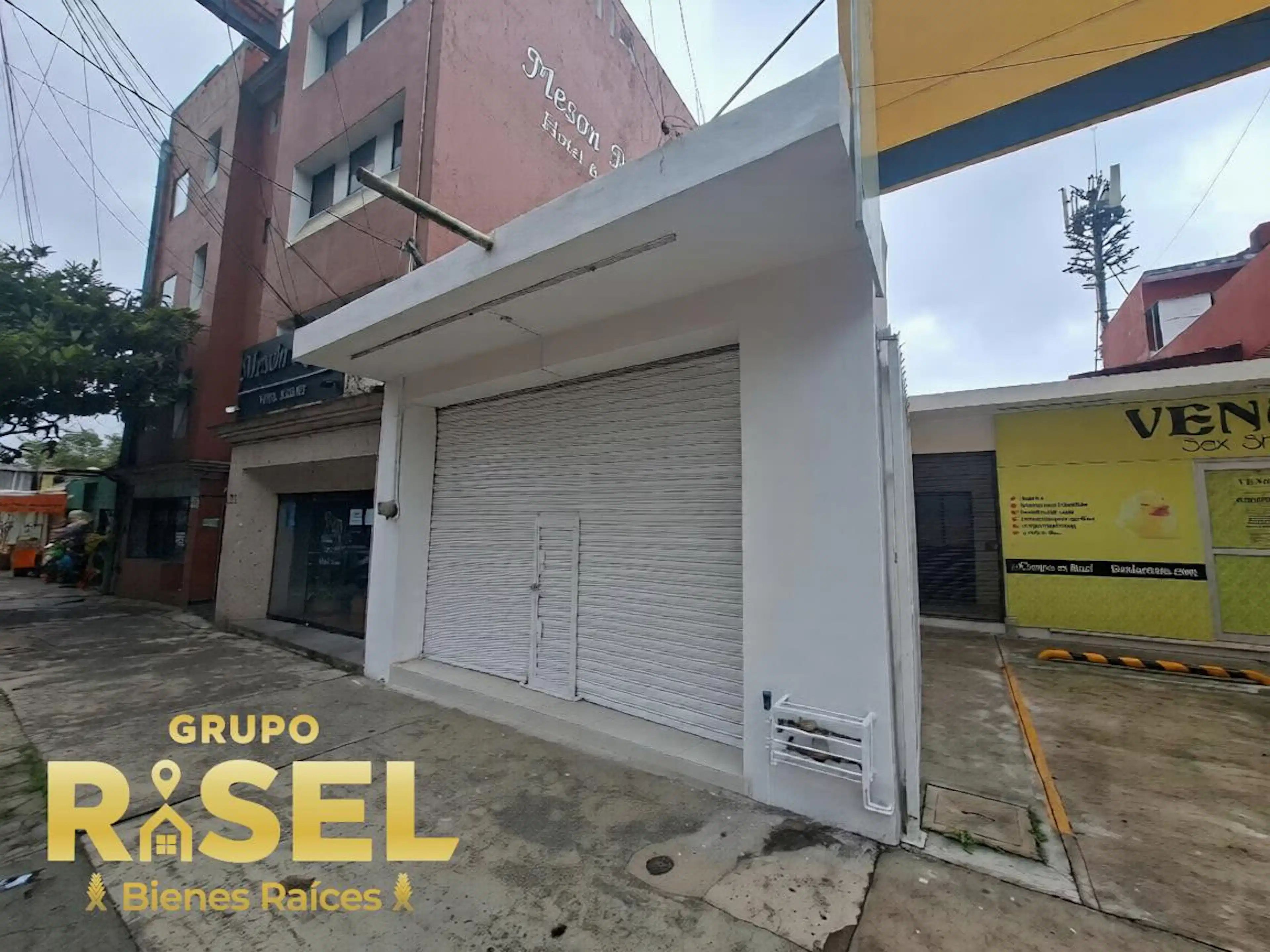 Avenida Xalapa