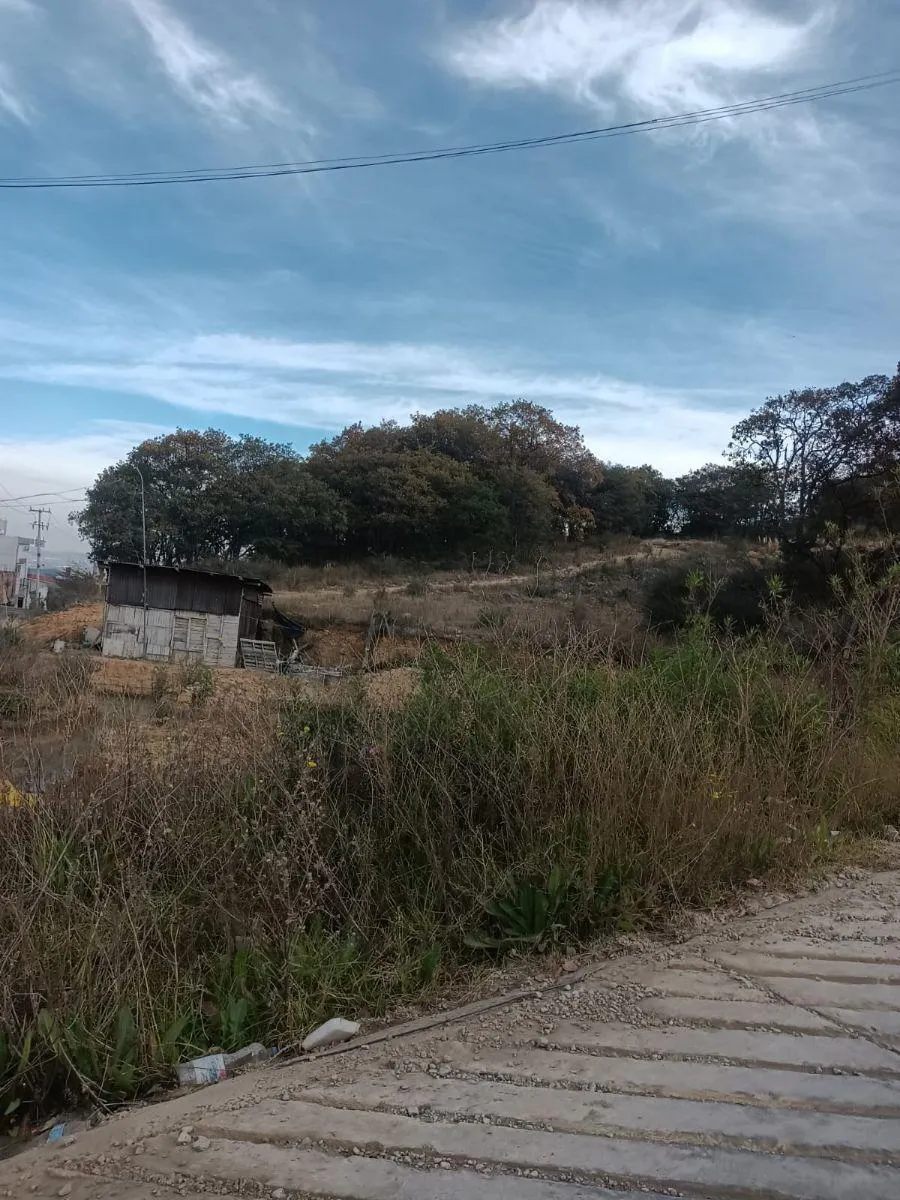 Terreno Spot2