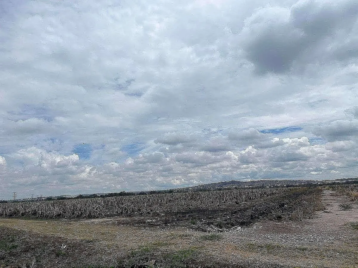 Terreno Spot2
