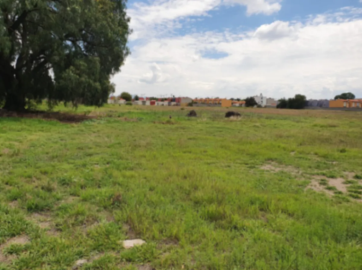 Terreno Spot2