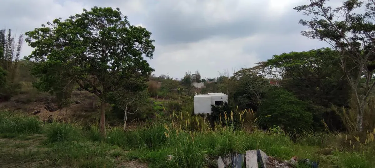 Terreno Spot2