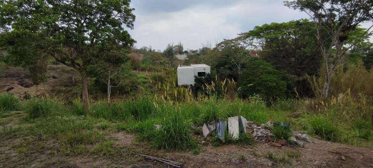 Terreno Spot2