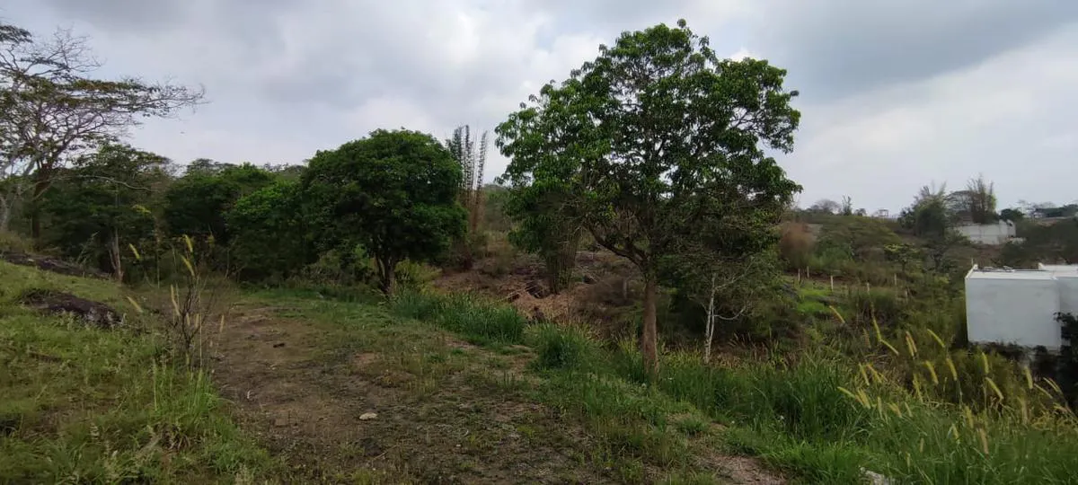 Terreno Spot2