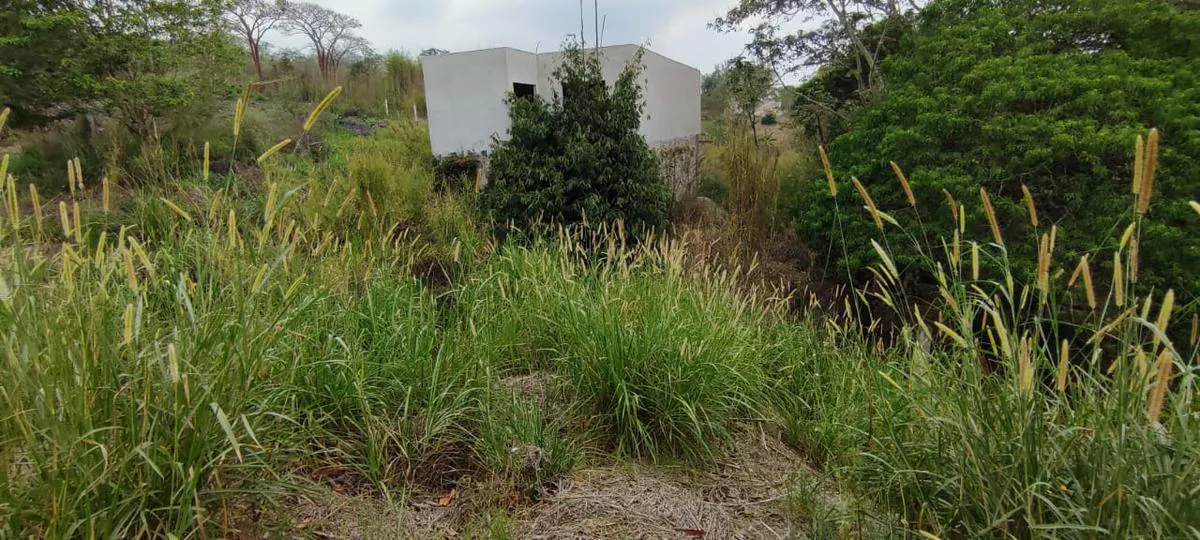 Terreno Spot2