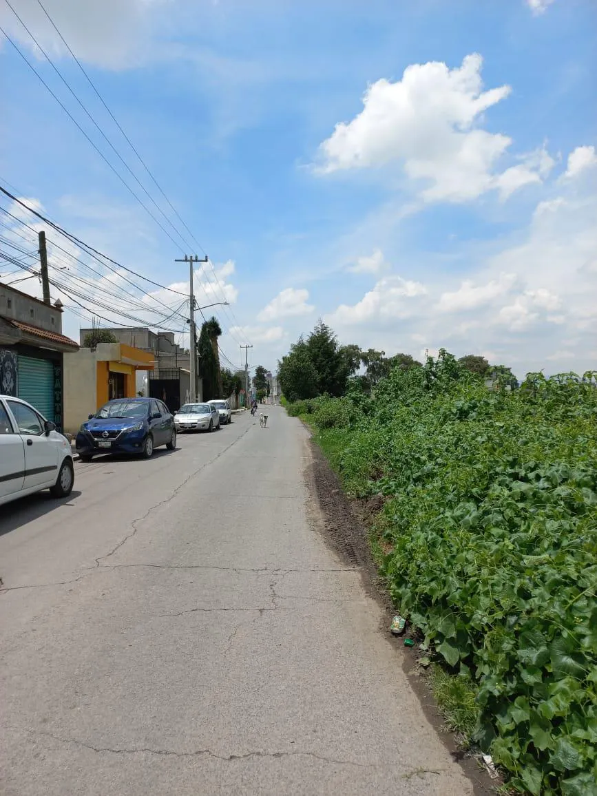 Terreno Spot2