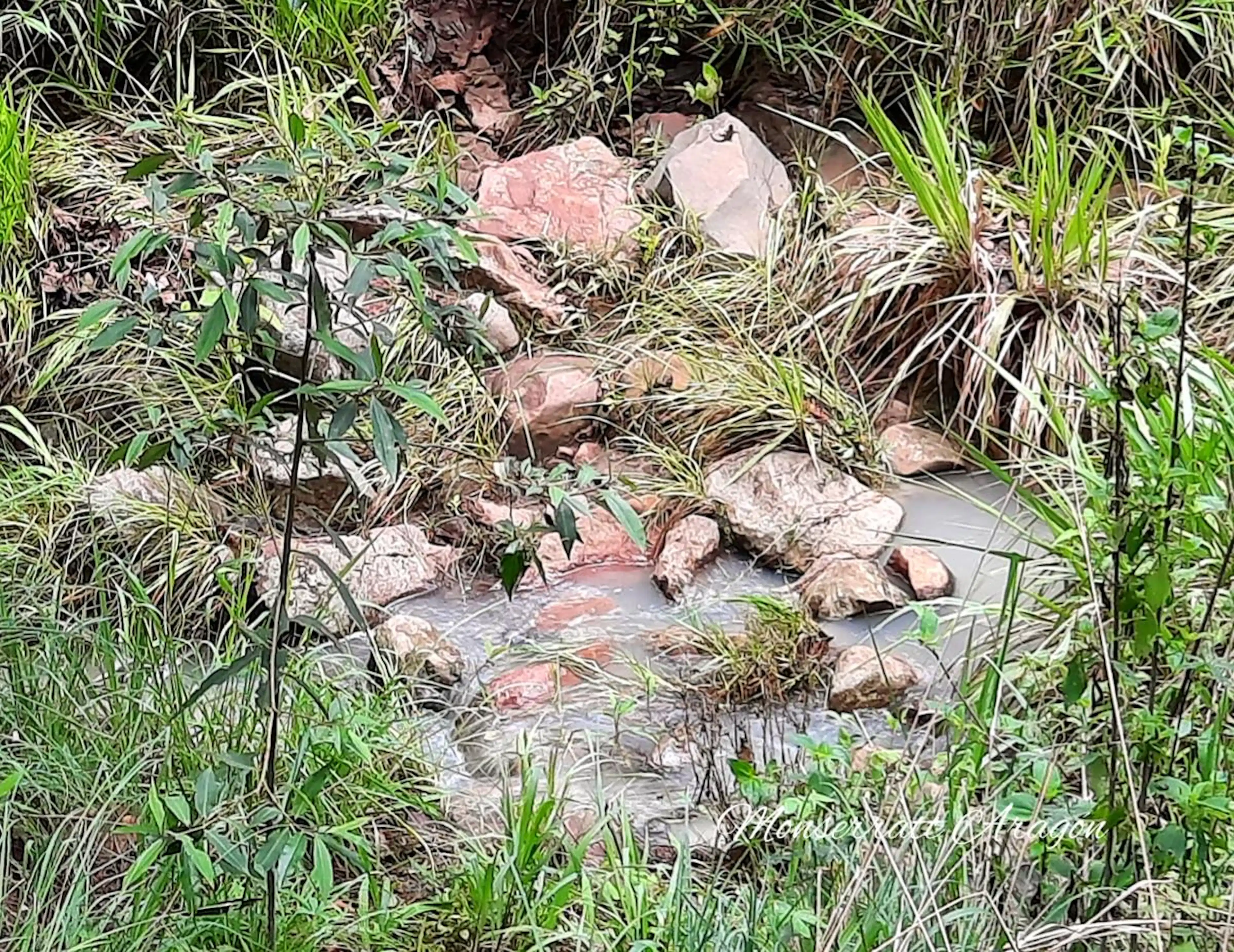 Una hectárea a 35 minutos de Avándaro