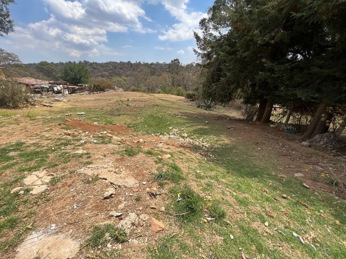 Terreno Spot2