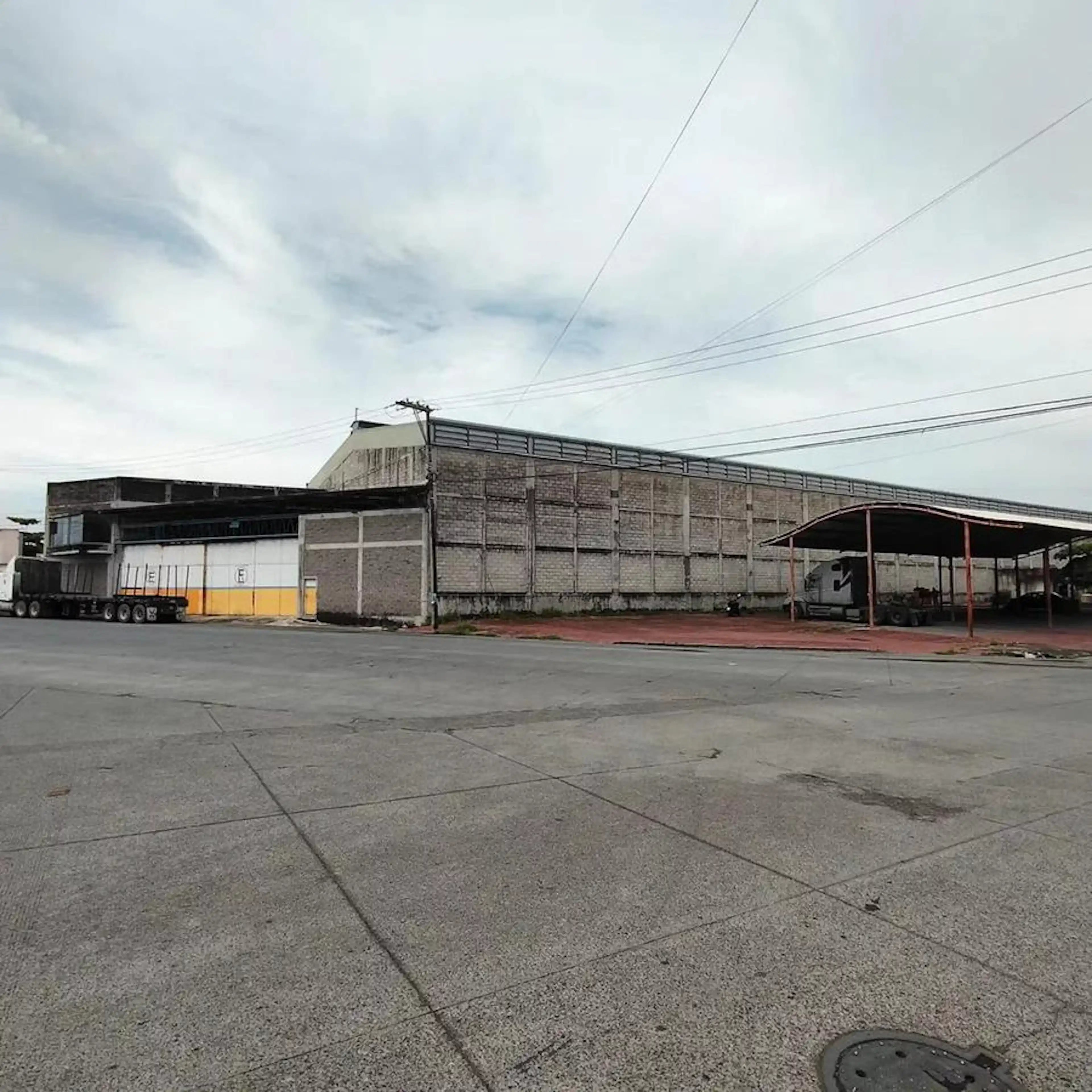 Bruno Pagliai, Veracruz, Veracruz De Ignacio De La Llave S/N