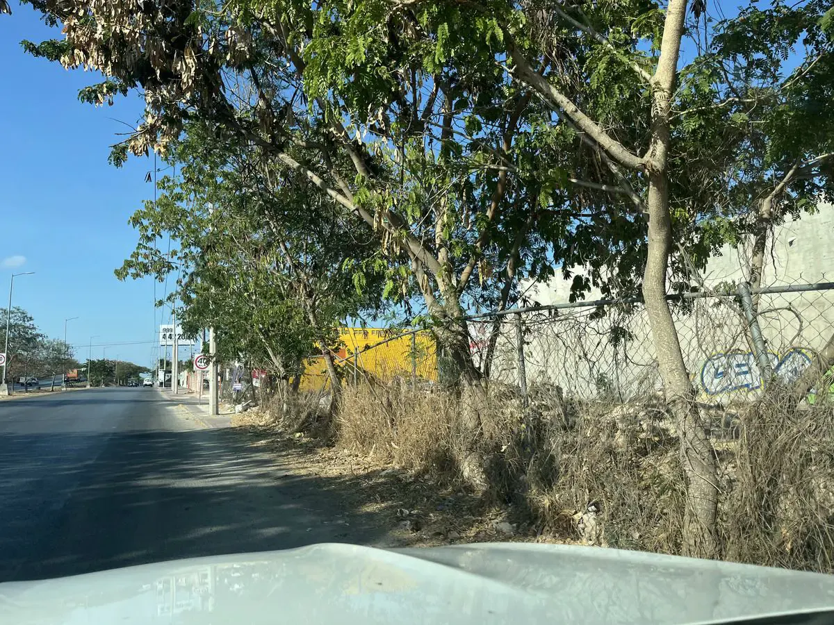 Terreno Spot2