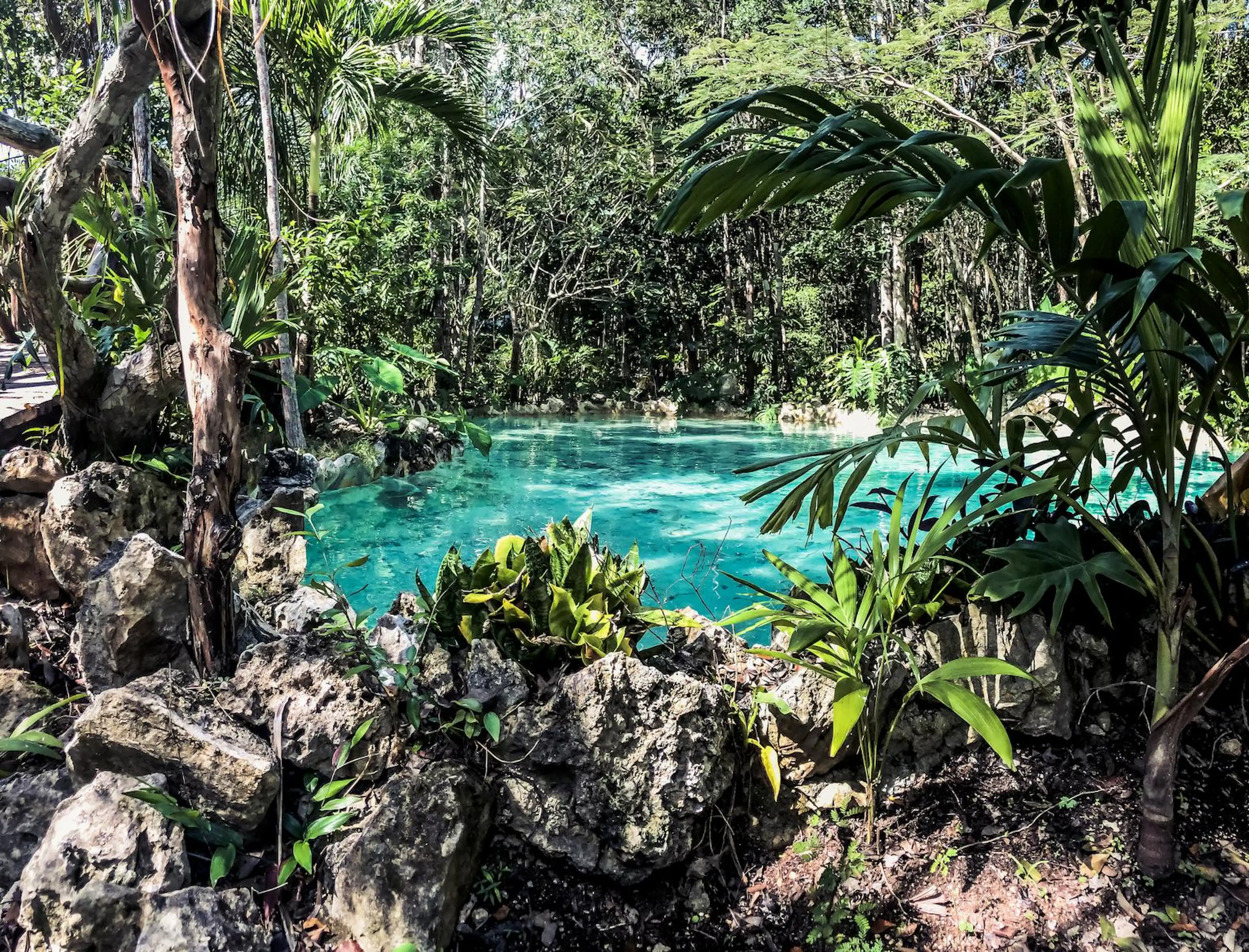 Terreno En Venta/ Playa Del Carmen/ Zona Diamante/ Residencial/ Uso Mixto /plusvalia