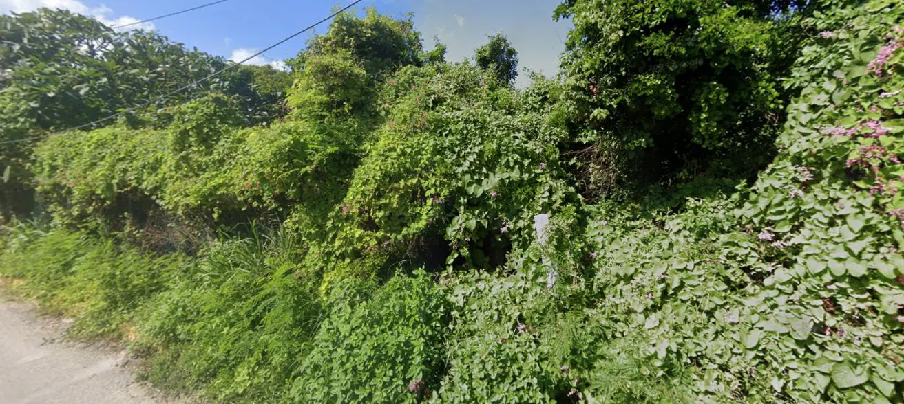 Terreno Spot2