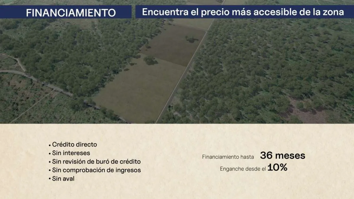 Terreno Spot2