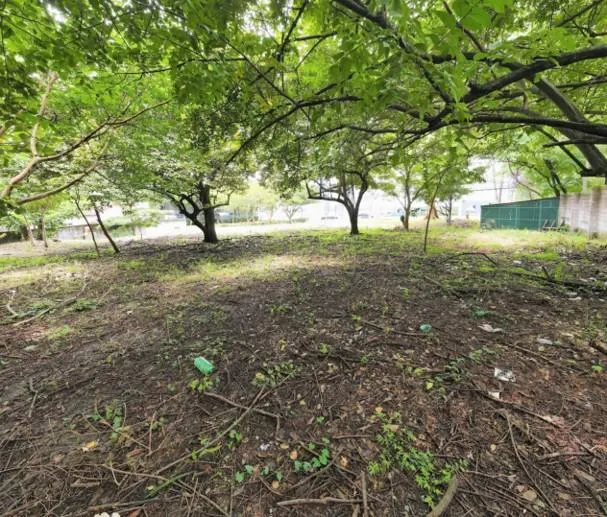 Terreno Spot2