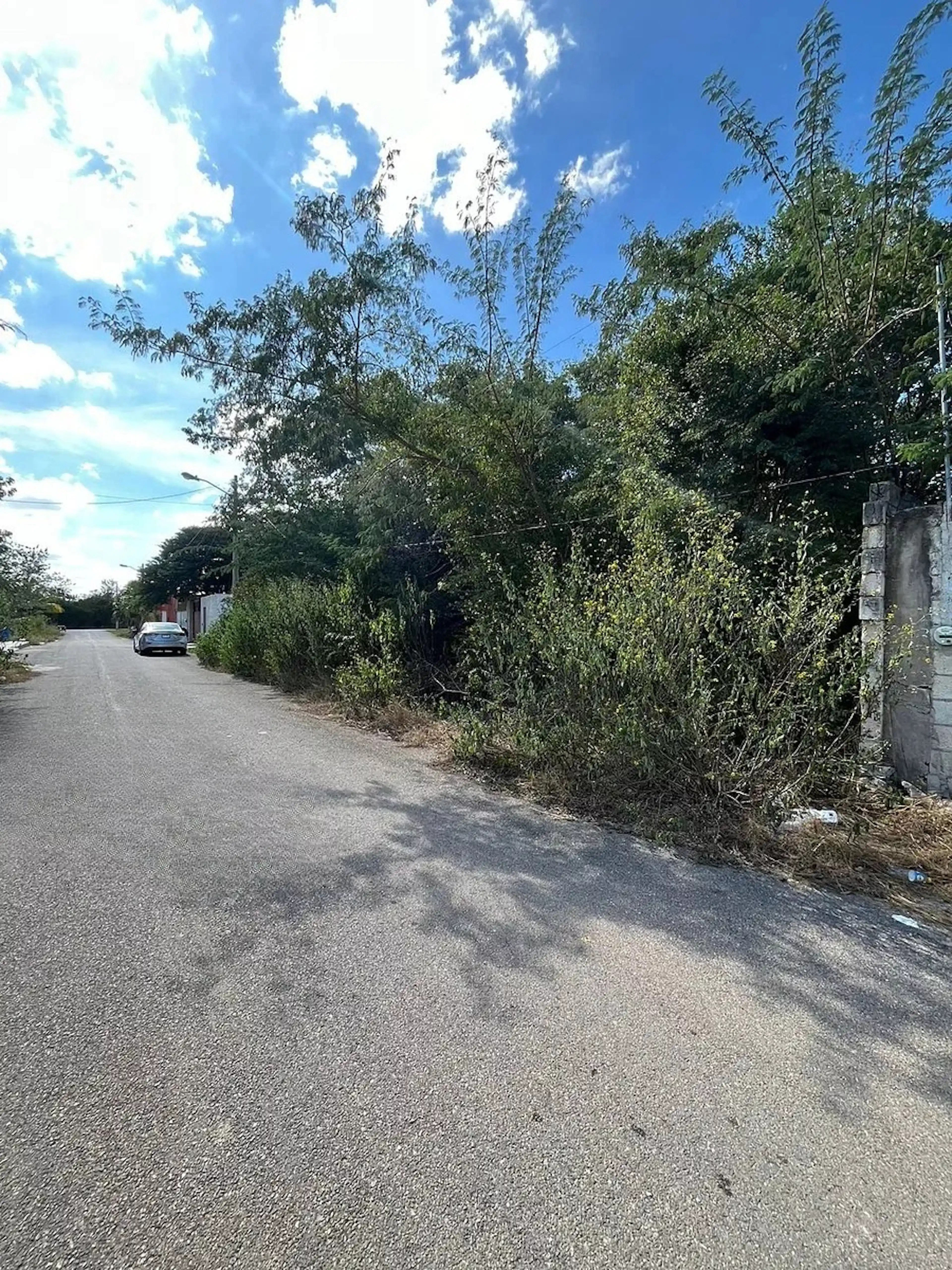 EJIDAL TERRENO 2000 M2 DE CALLE A CALLE, CON SERVICIOS Y VECINOS