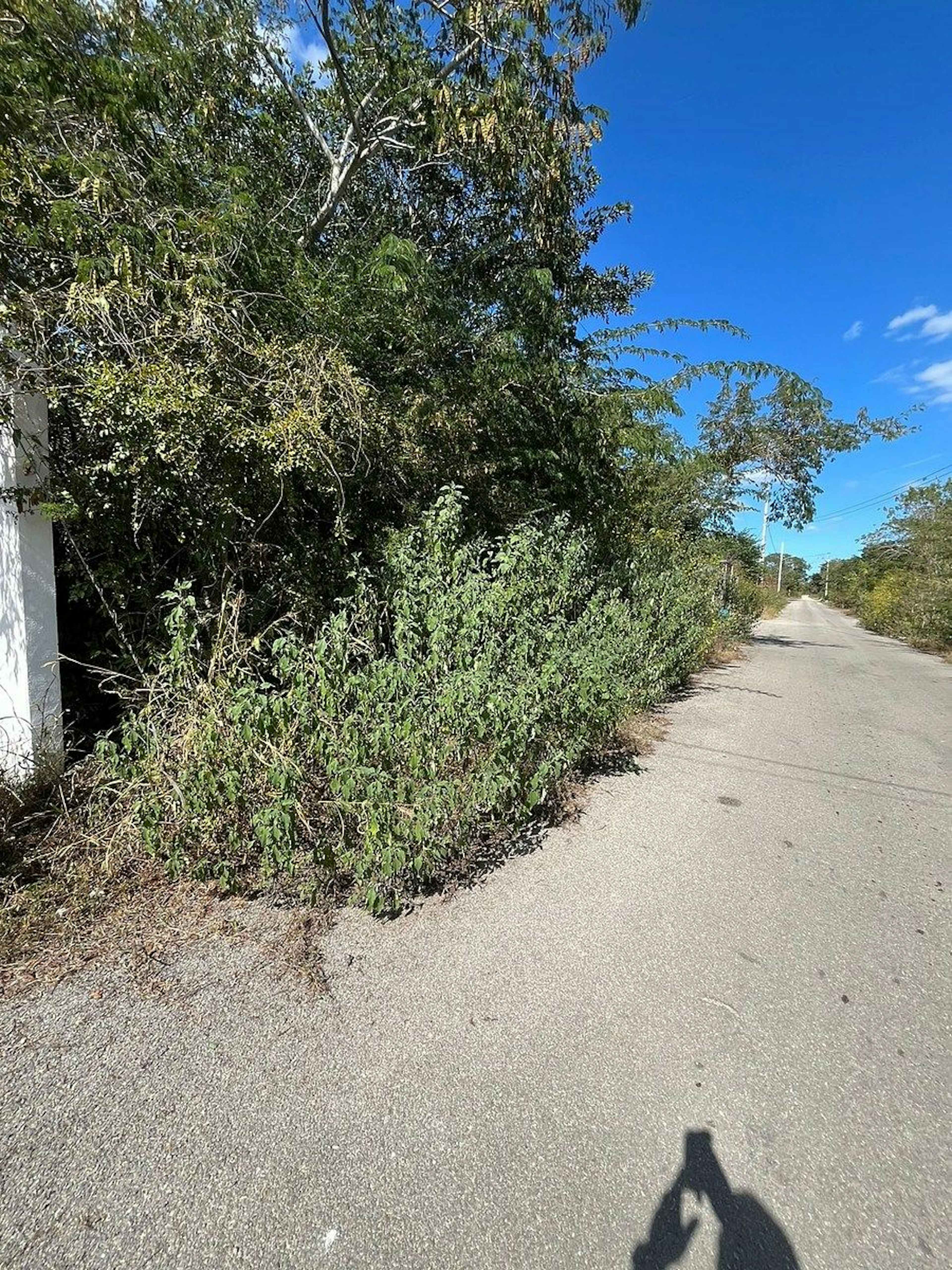 Ejidal Terreno 2000 M2 De Calle A Calle, Con Servicios Y Vecinos