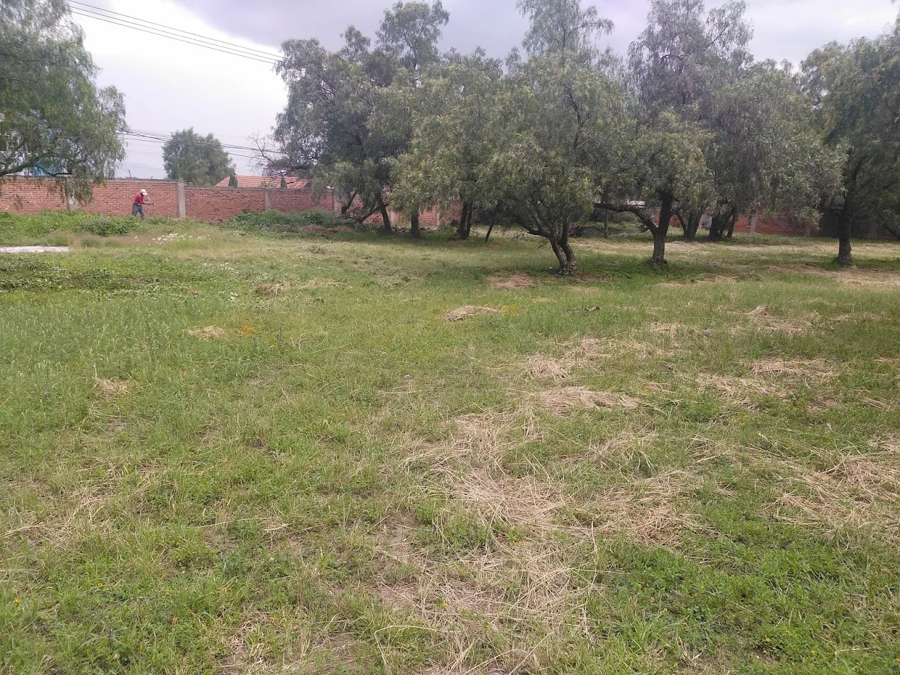 Terreno Spot2