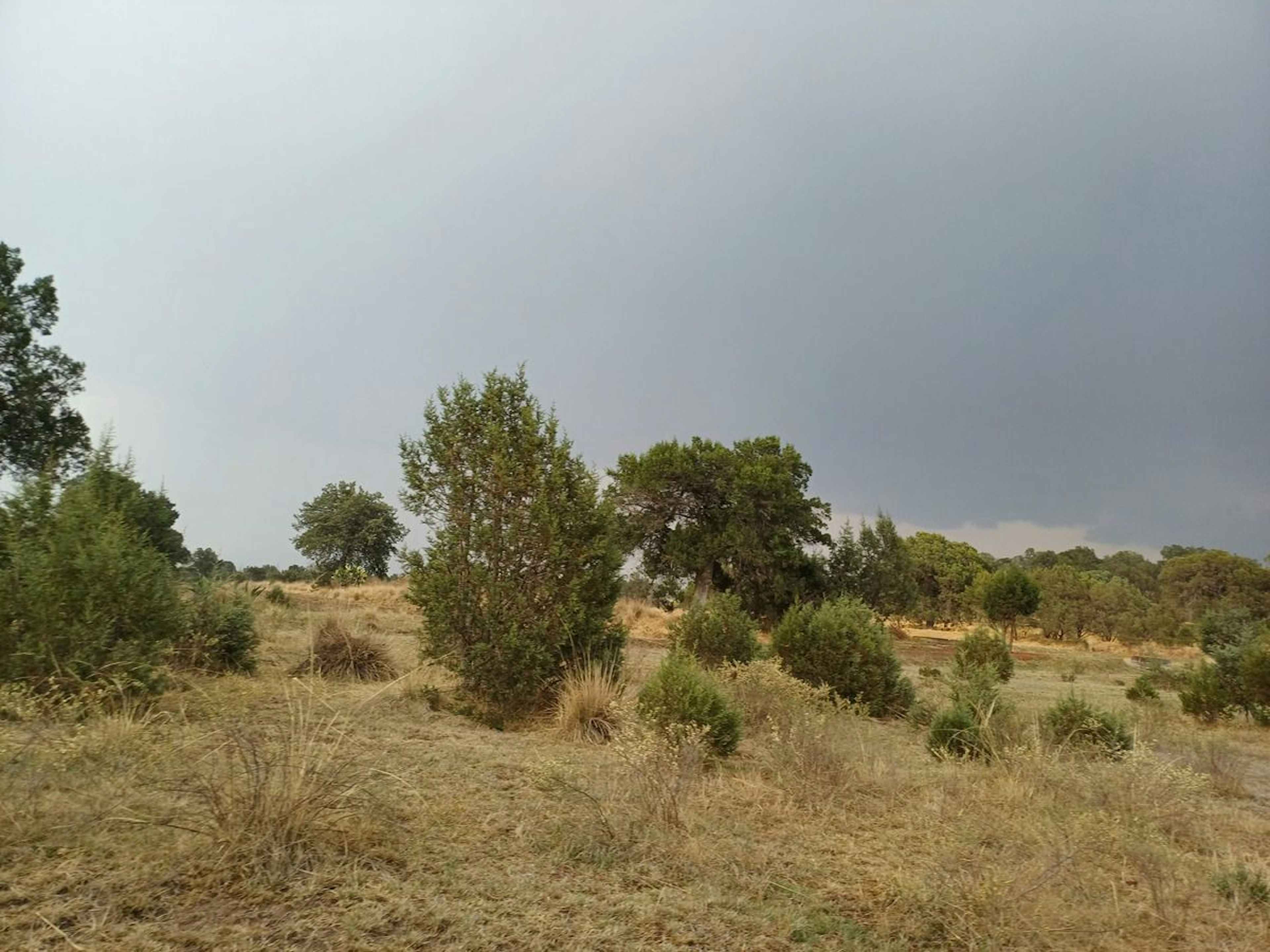 Av. Josefa O. De Domínguez 26