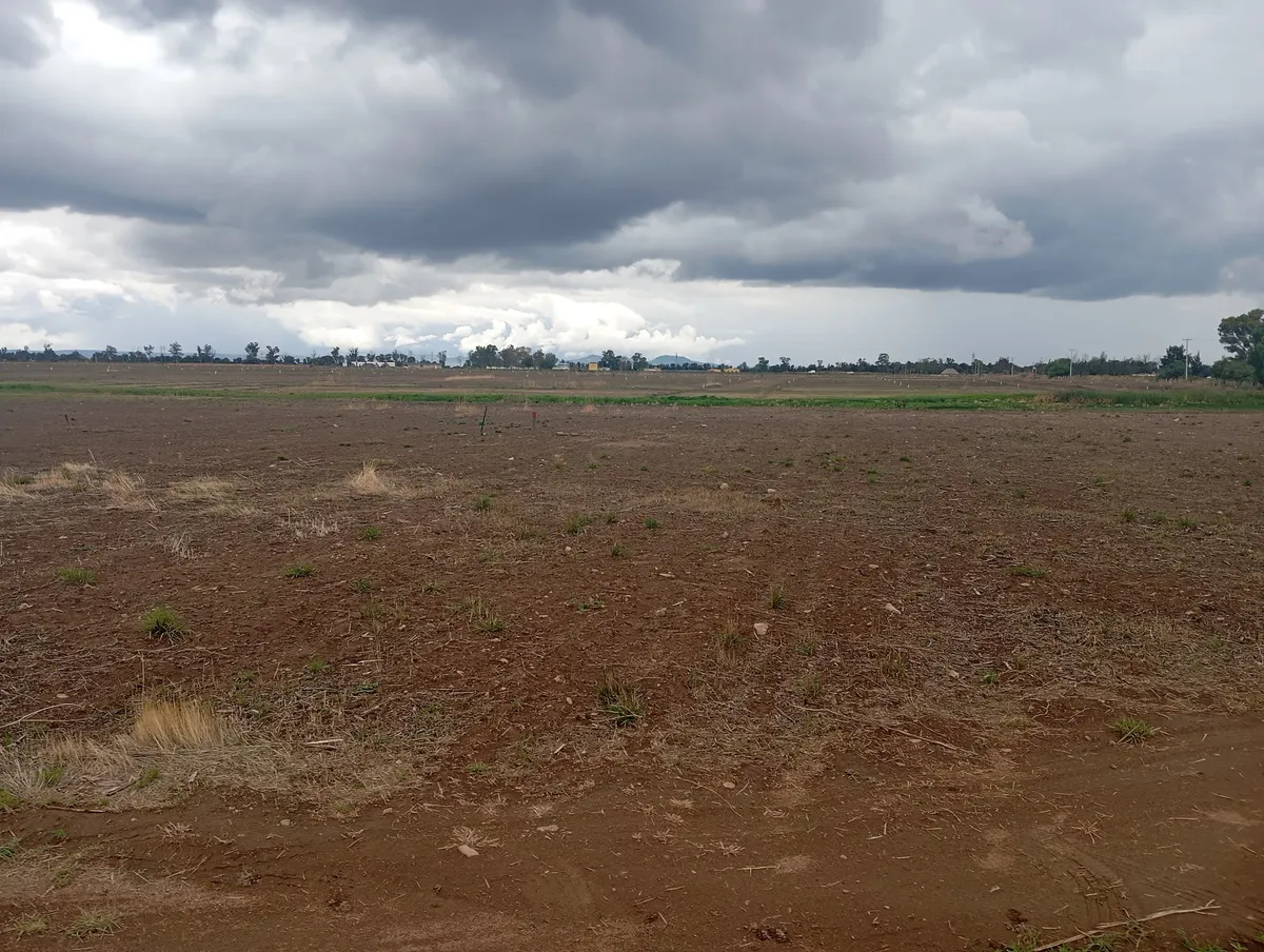 Terreno Spot2