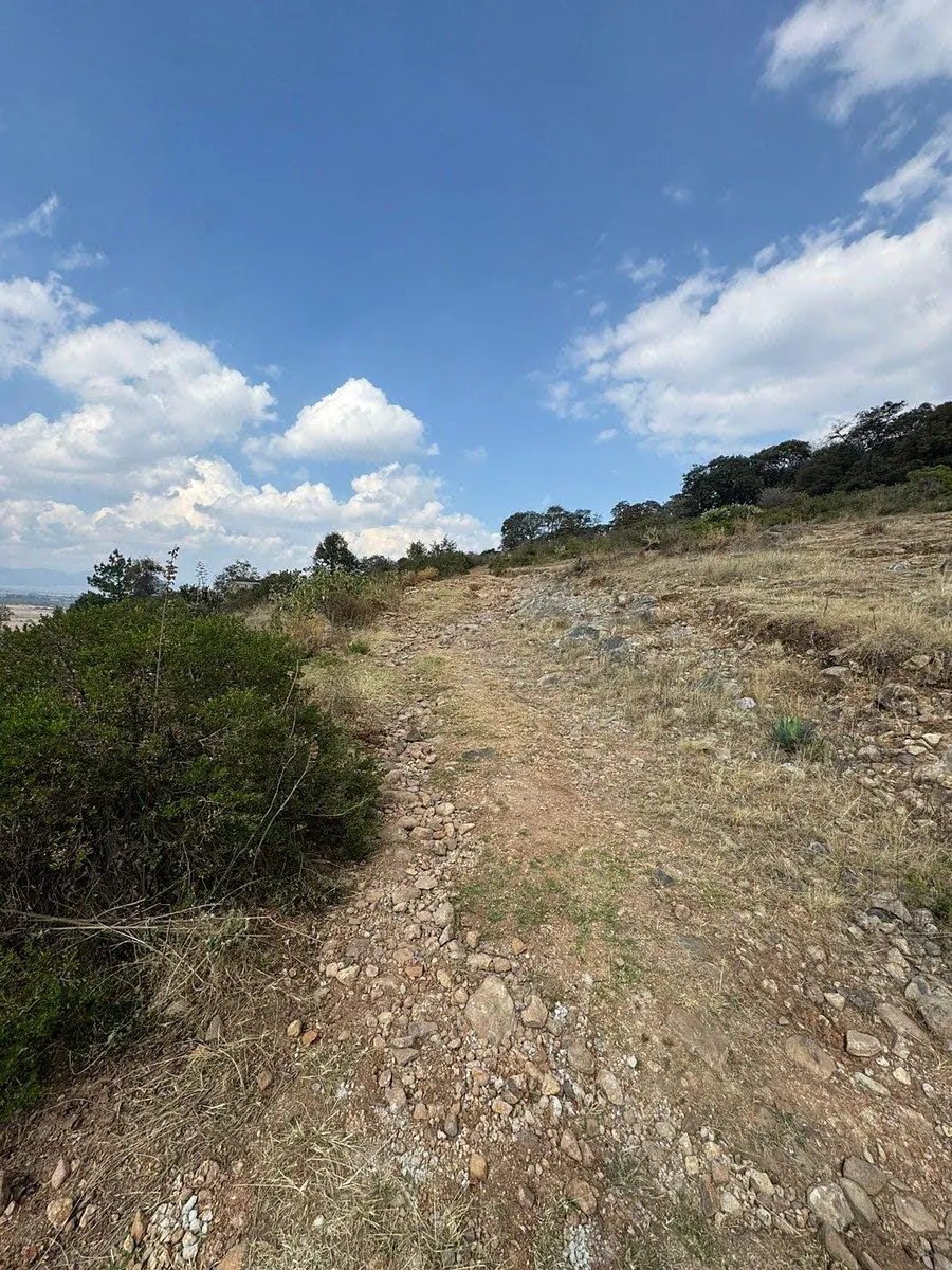 Terreno Spot2