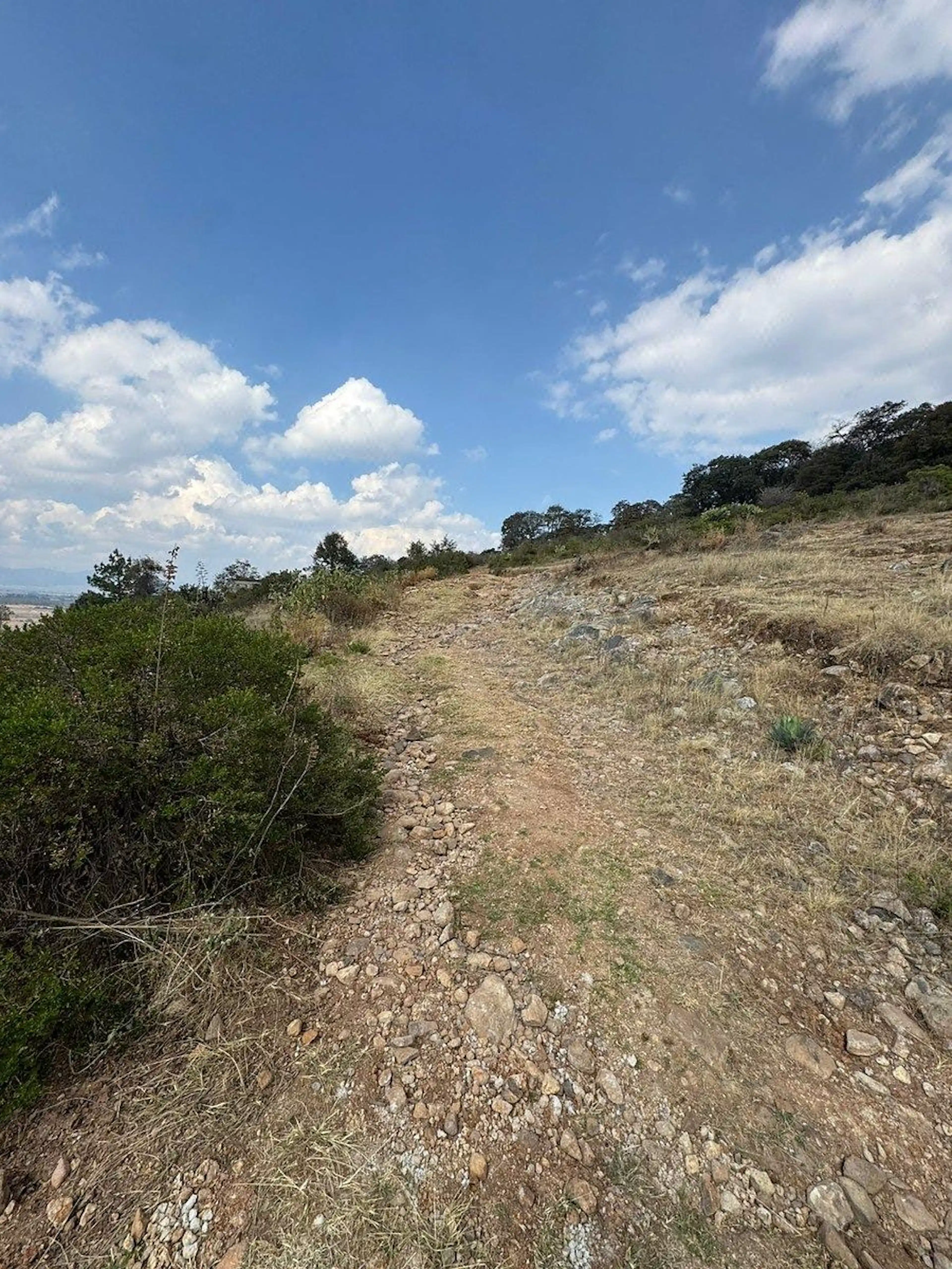 SE VENDE TERRENO 1,001 M2 UBICADO EN SAN MIGUEL CAÑADAS