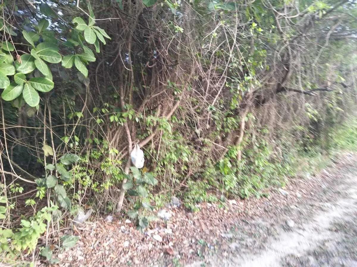 Terreno Spot2