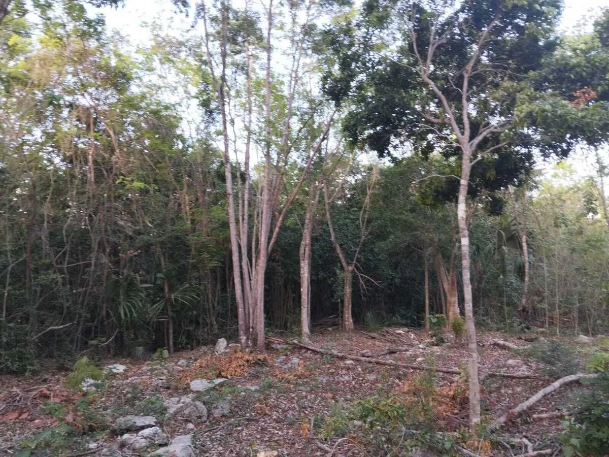 Terreno Spot2
