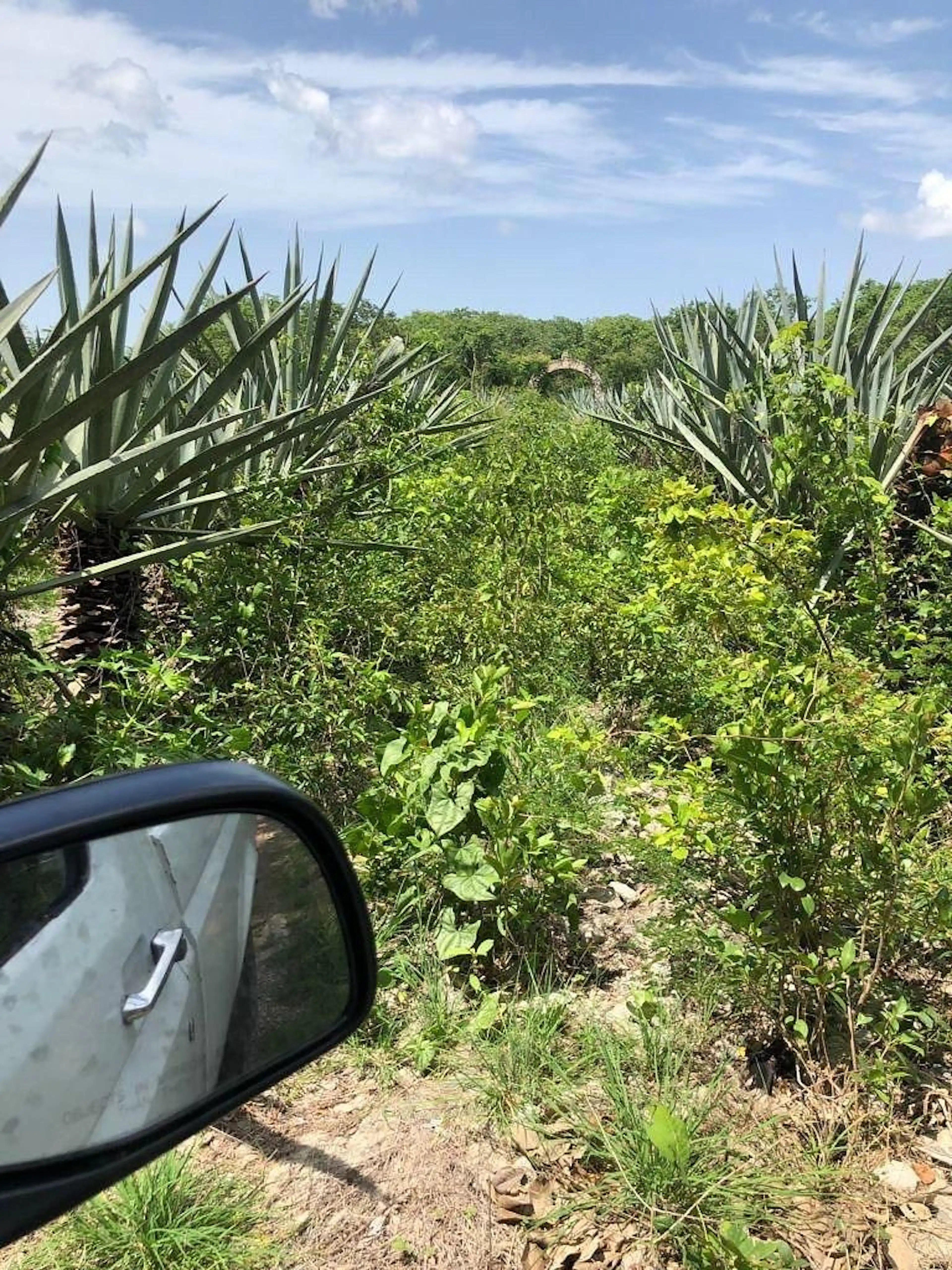 Venta De Terreno De 10 Hectáreas En Hunucmá Yucatán