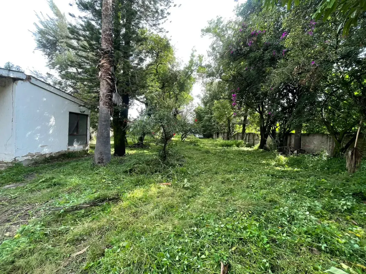 Terreno Spot2