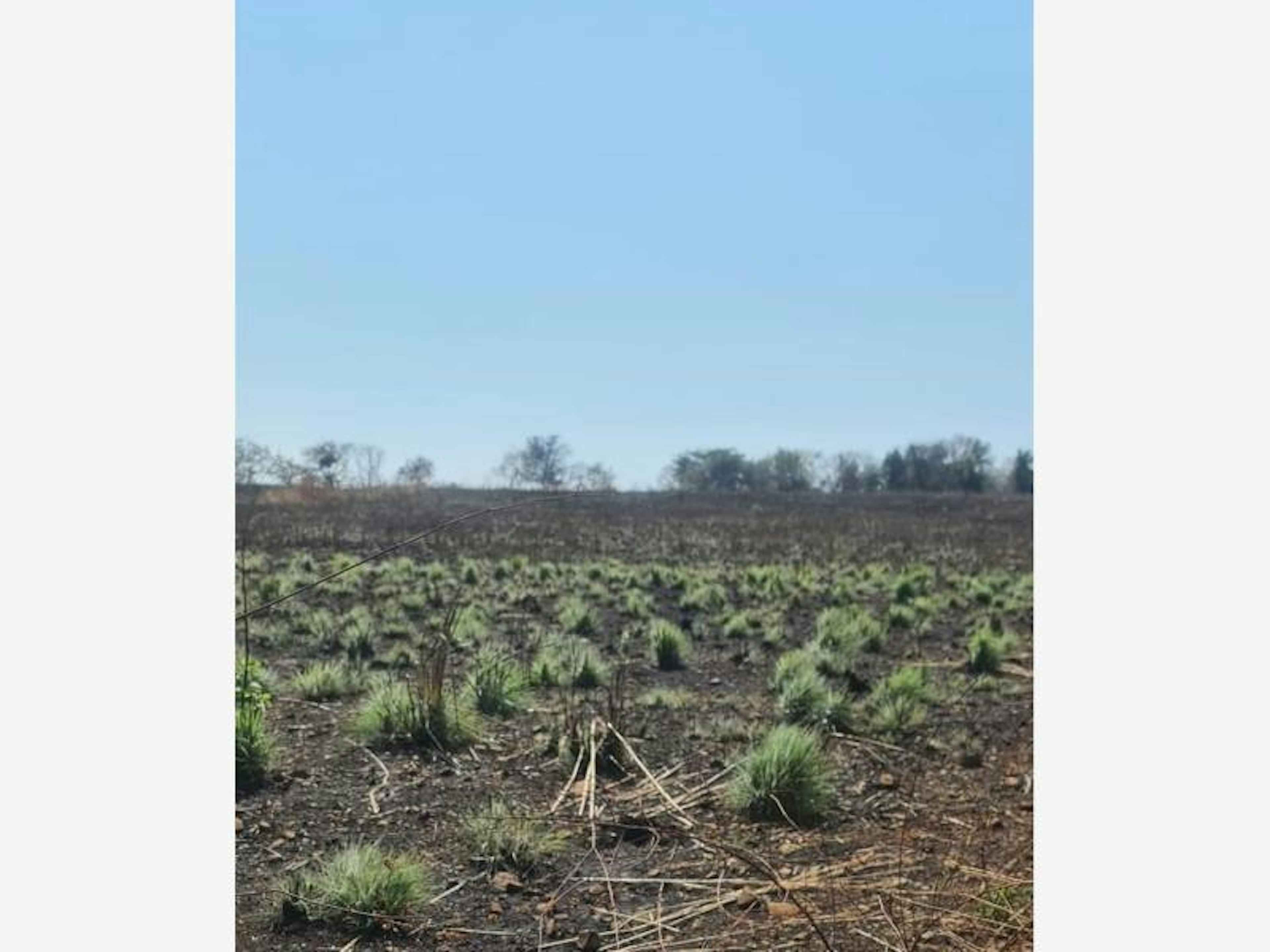 Terreno En Venta En Cuauhtemoc, Cuauhtémoc, Colima