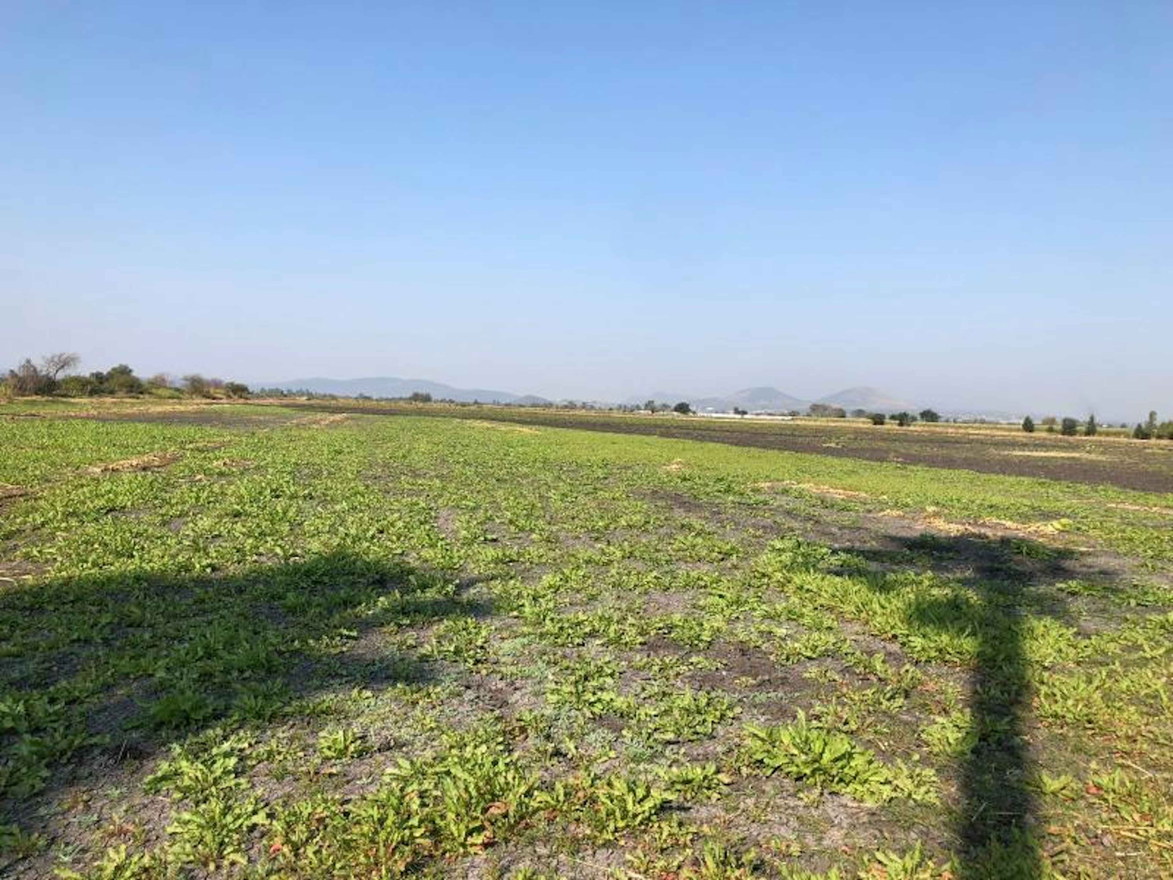 Terreno En Venta En Acatlan De Juarez Centro, Acatlán De Juárez, Jalisco