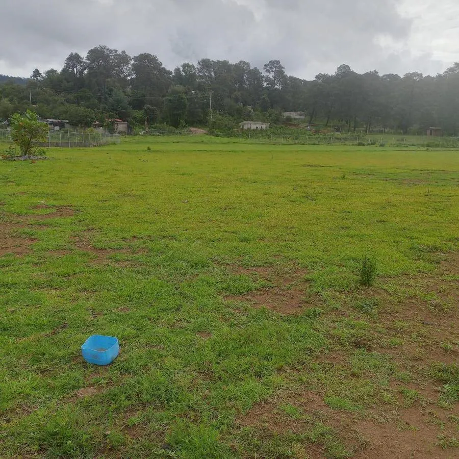 Terreno Spot2