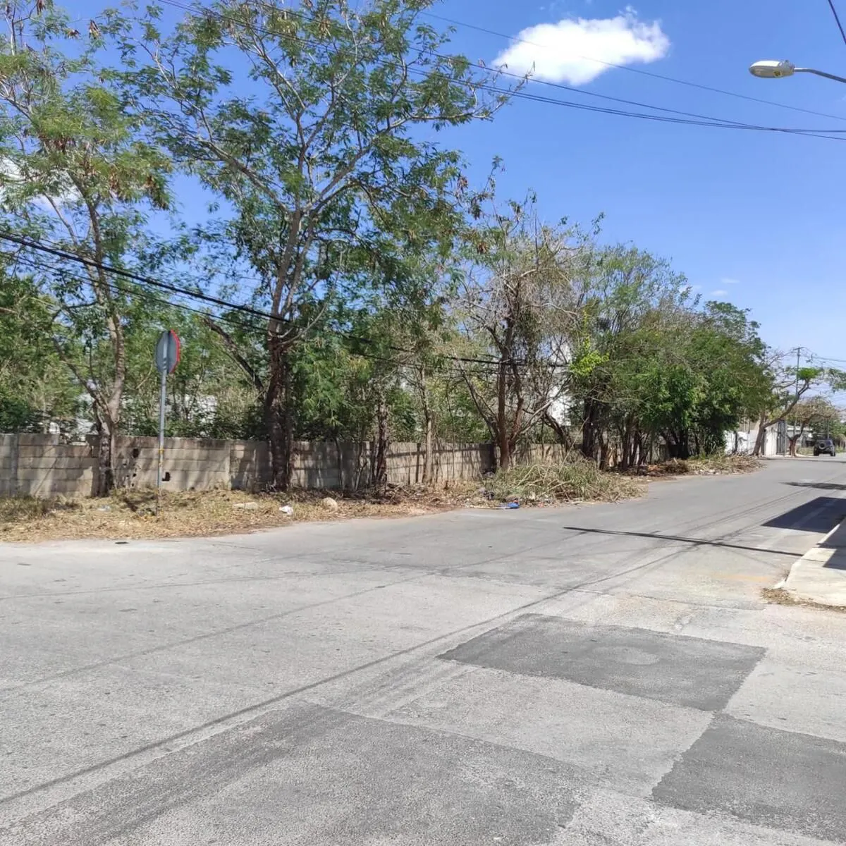 Terreno Spot2