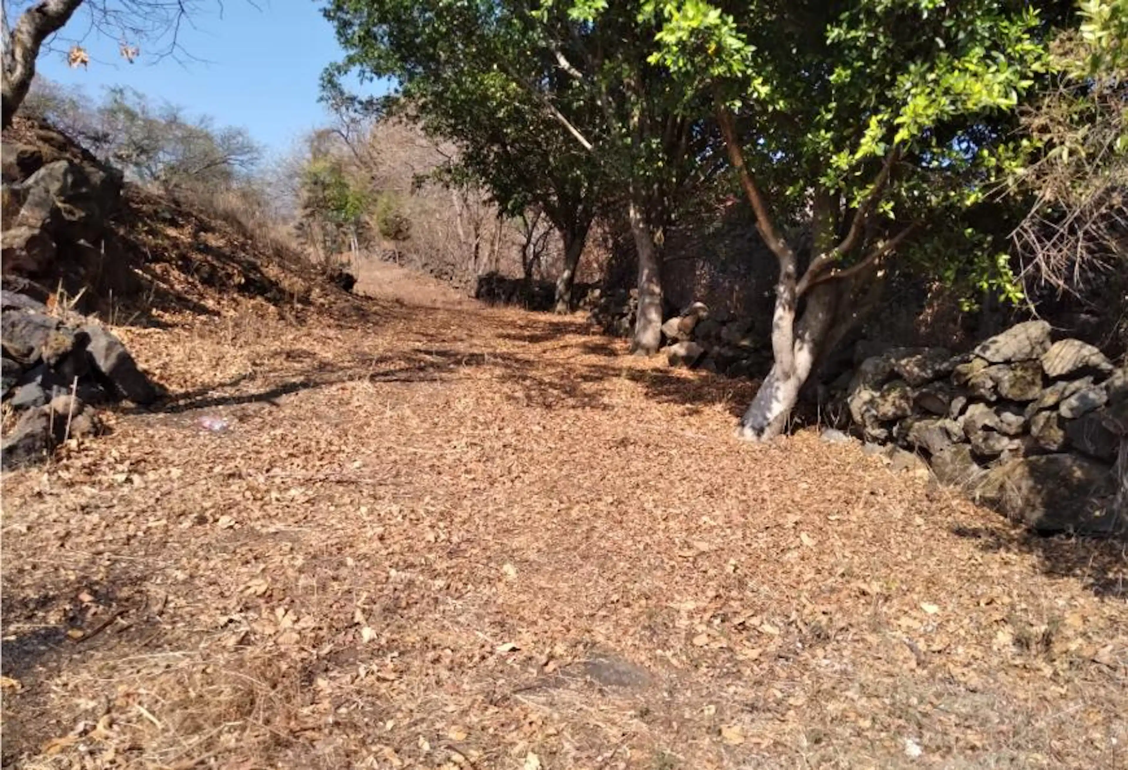 terreno en venta Tepoztlán