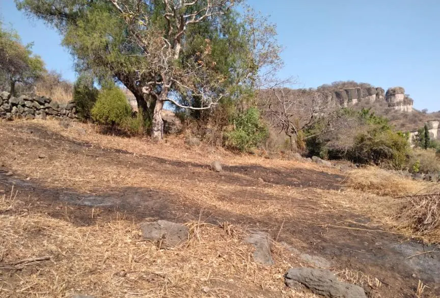 Terreno Spot2