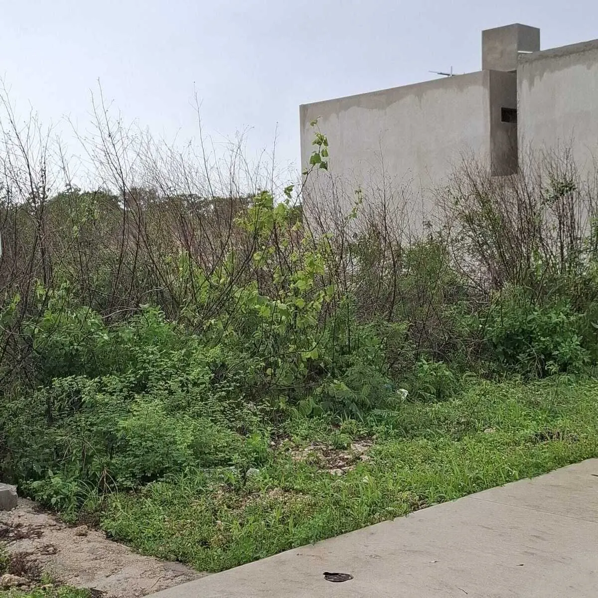 Terreno Spot2