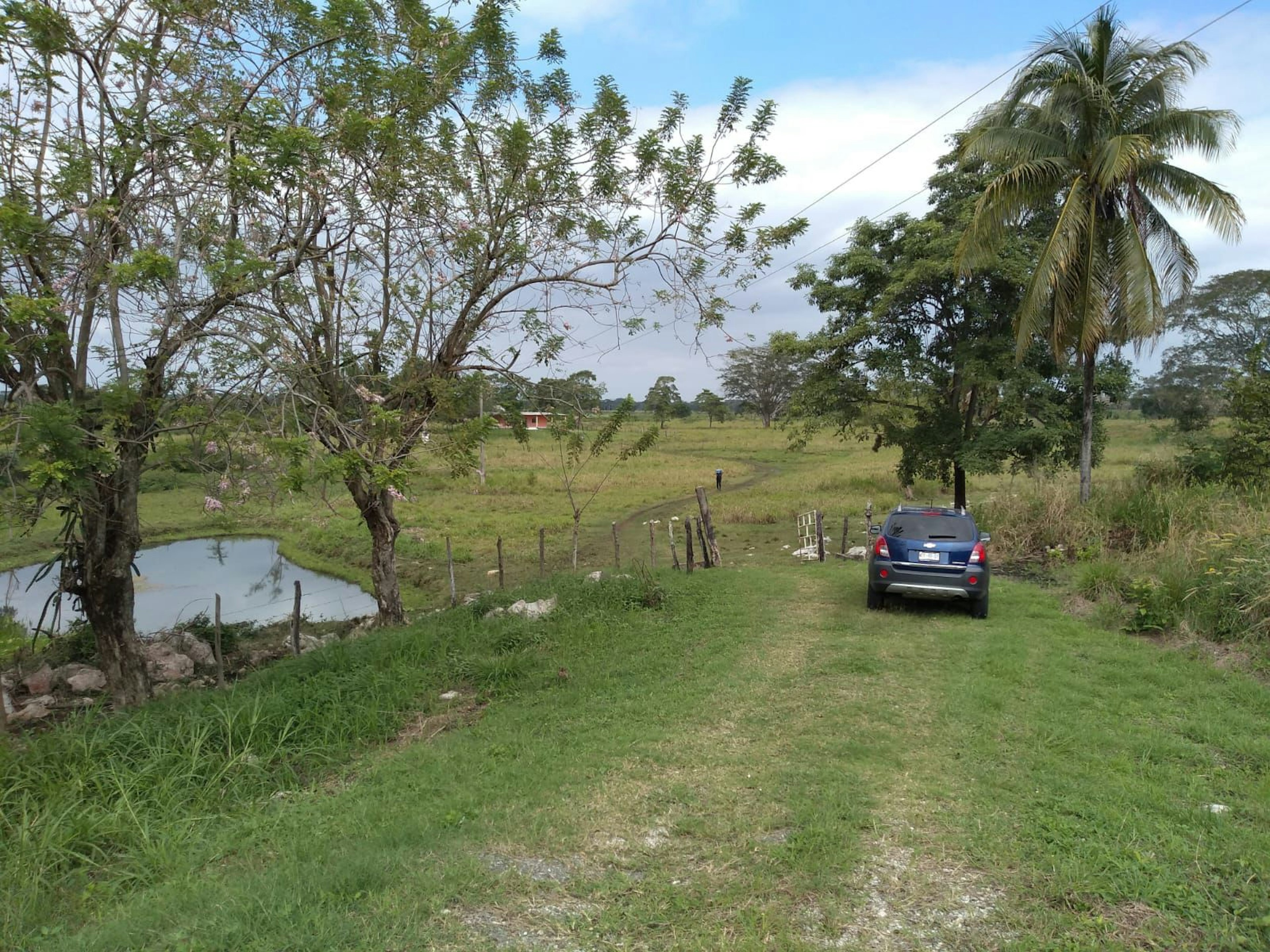 Terreno rural con acceso de tierra, vegetación variada y un pequeño estanque. Ambiente natural ideal para desarrollo inmobiliario o agrícola.