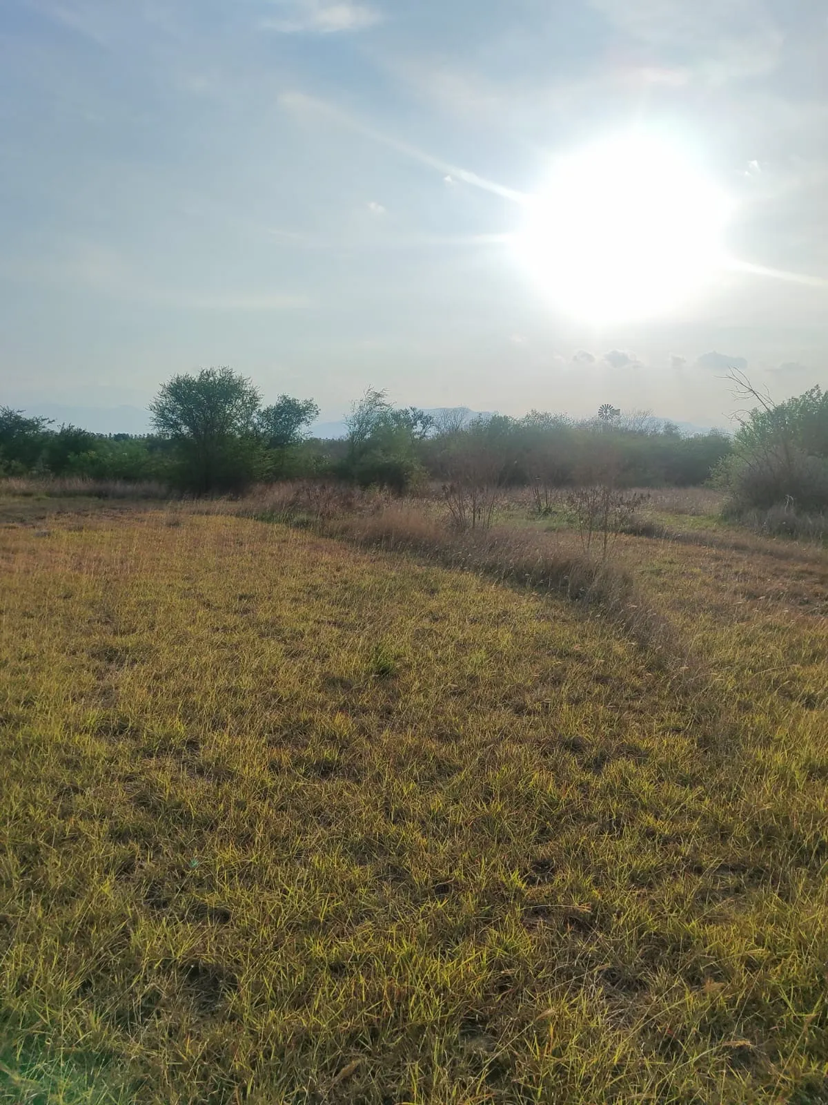 Terreno Spot2