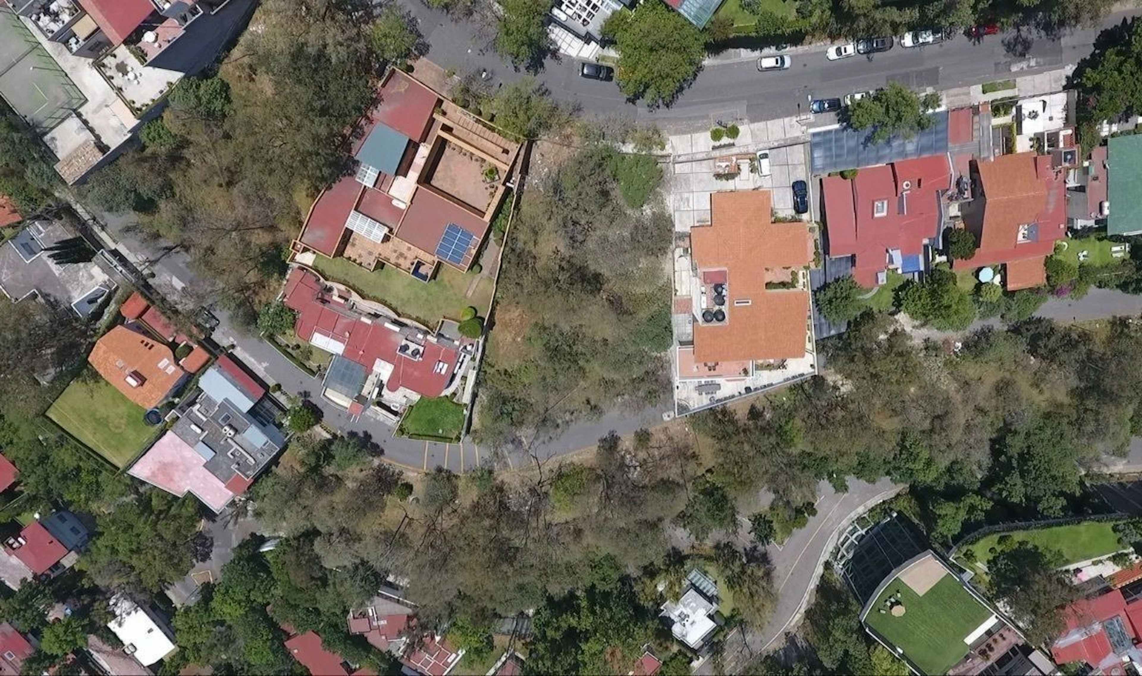 Bosques De  Jacarandas 319