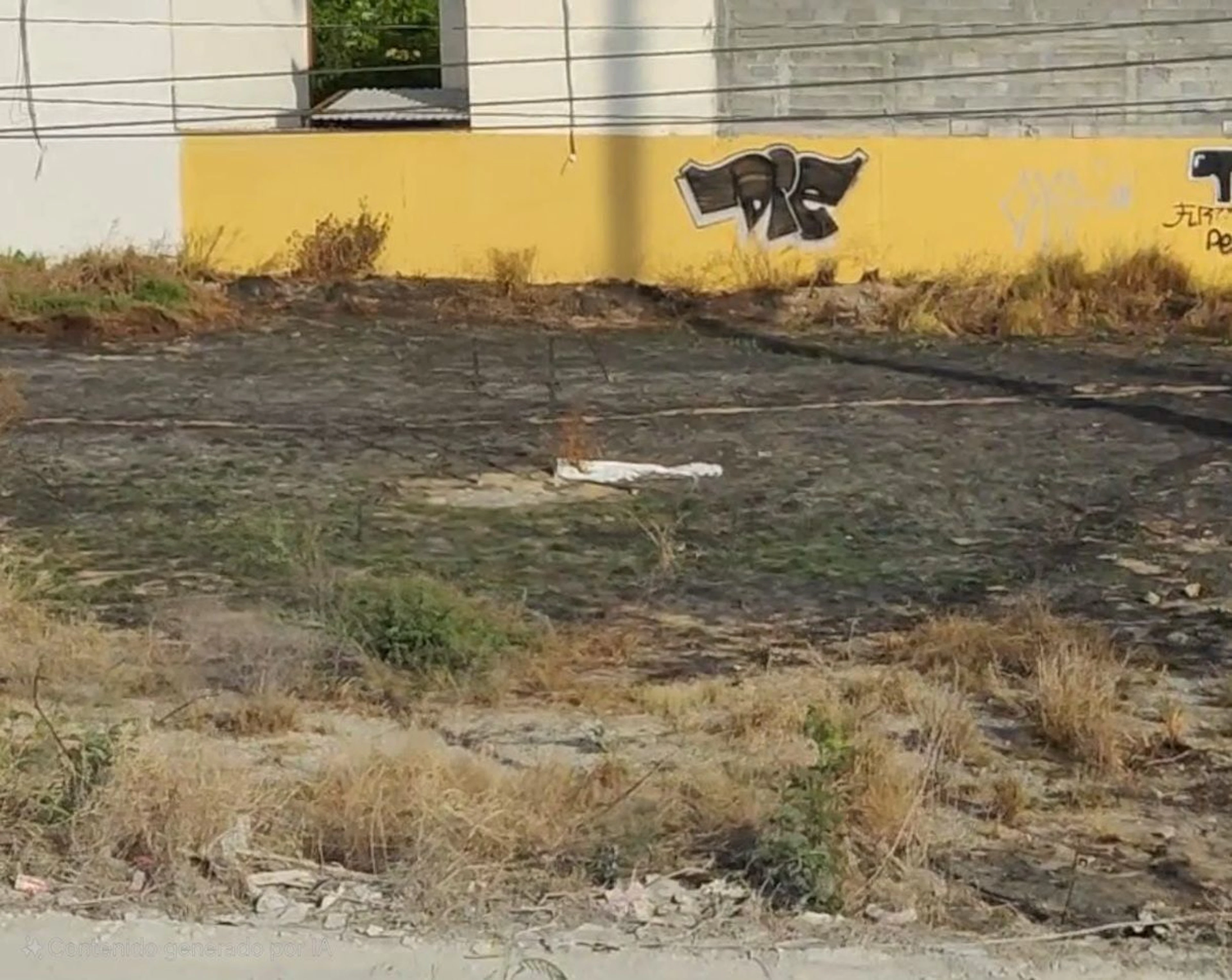 Terreno Spot2