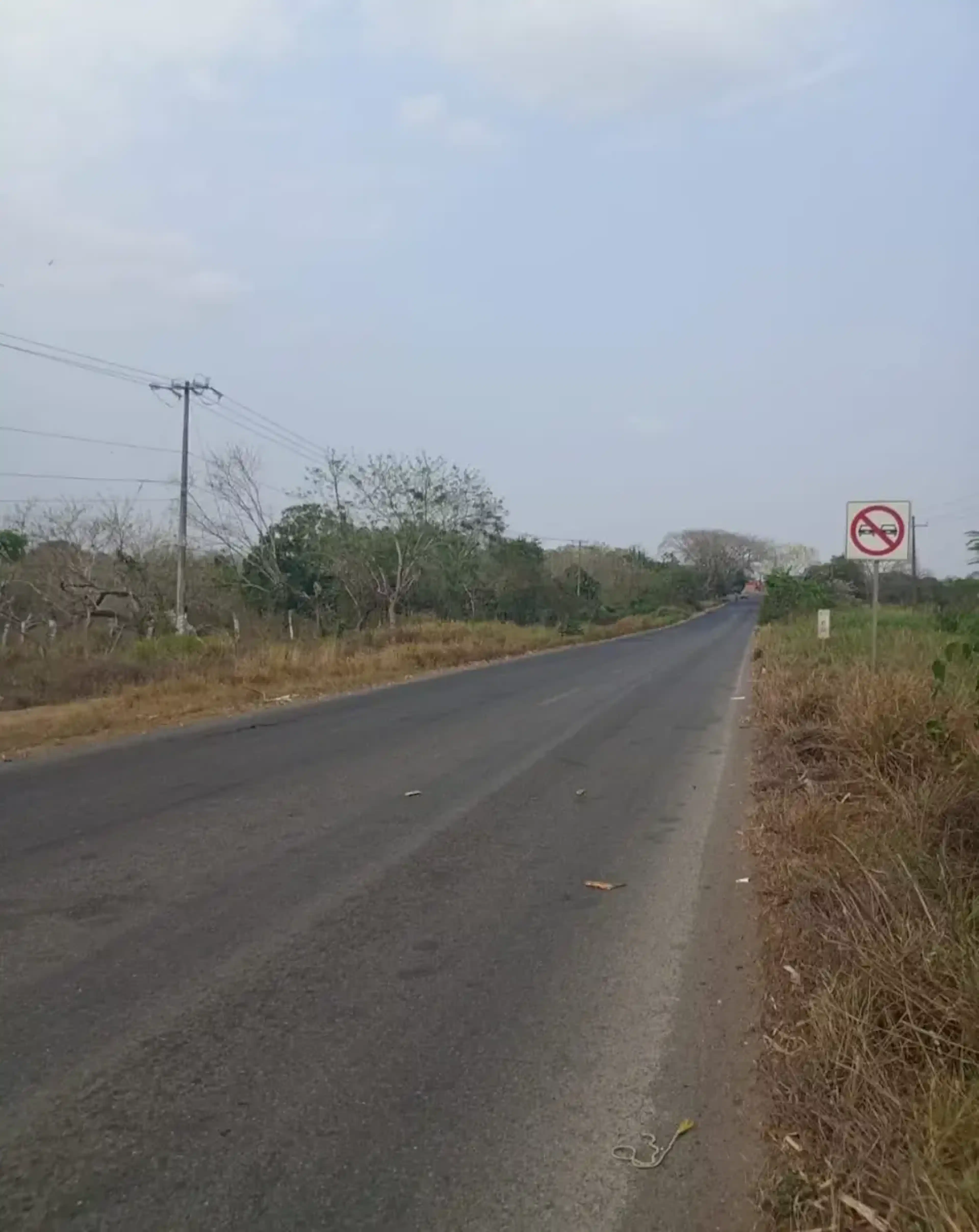 Terreno En El Moralito, Cotaxtla, Veracruz De Ignacio De La Llave
