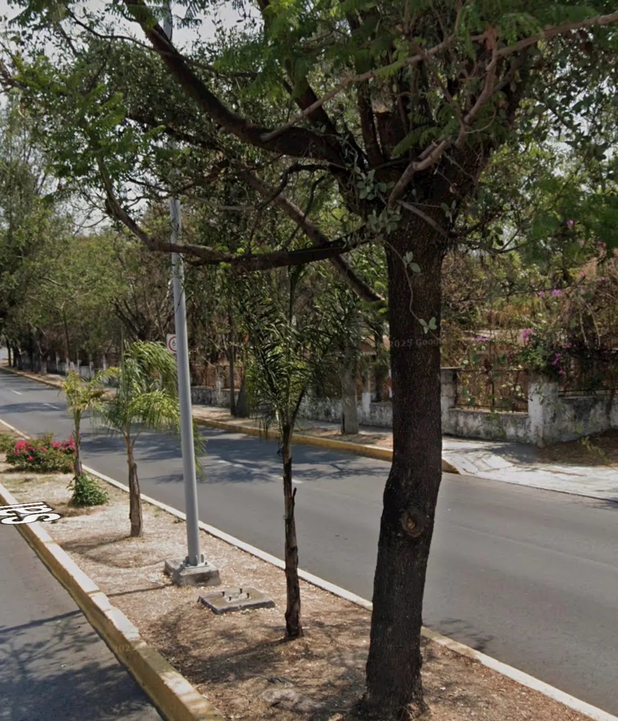 Terreno Spot2