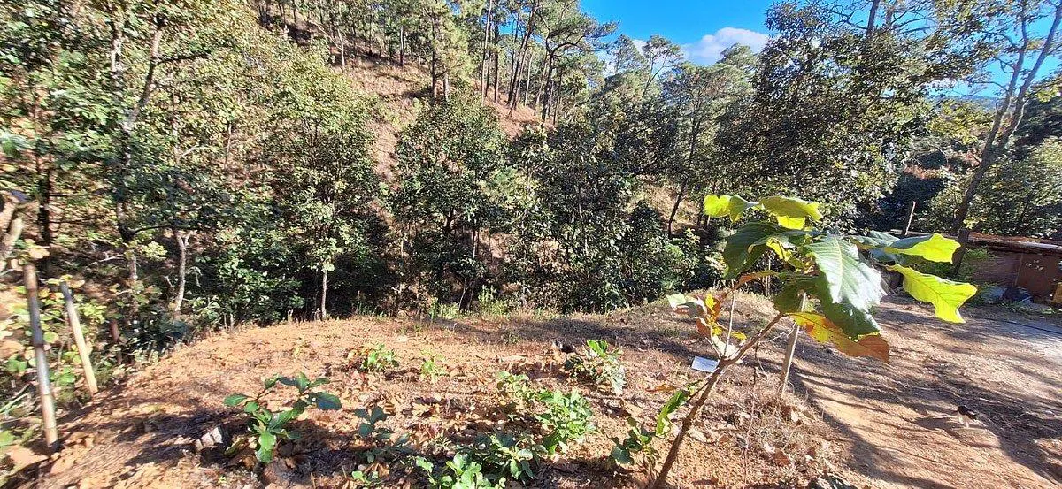 Terreno Spot2